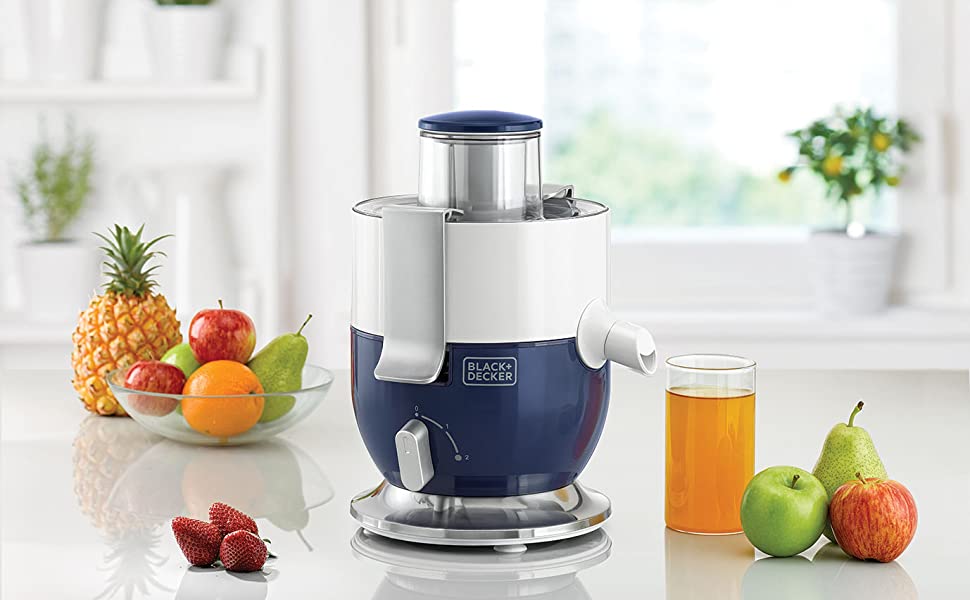 6 Things You Should Not Add in a Blender and Grinder