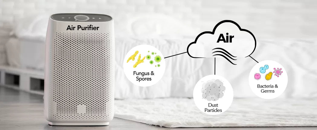 How Cleaner Air Leads to Healthier Skin: The Role of Air Purifiers