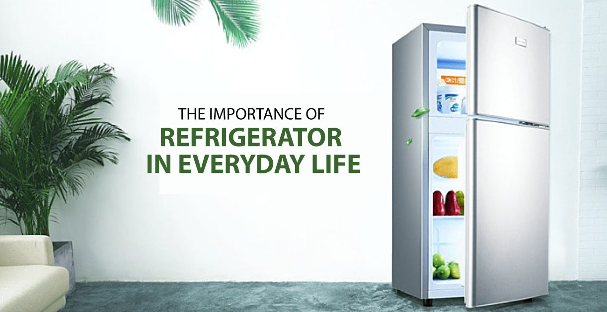 The Importance Of The Fridge In Everyday Life