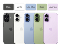 Apple iPhone 17 256GB Storage