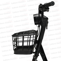 Evee Flipper Electric Bicycle
