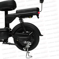 Evee Flipper Electric Bicycle