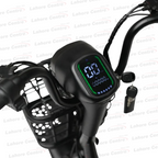 Evee Flipper Electric Bicycle
