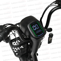 Evee Flipper Electric Bicycle
