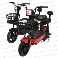 Evee Flipper Electric Bicycle
