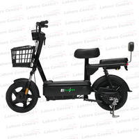 Evee Flipper Electric Bicycle
