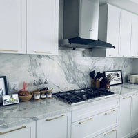 Fotile Perimeter Vent Series Kitchen Hood EMG9030 Price