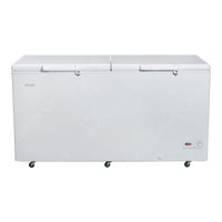 Haier HDF-545DD Regular Deep Freezer