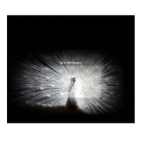 LG C2 77-Inches evo OLED TV Price