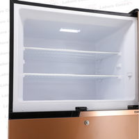 Dawlance 9160LF Chrome Double Door Refrigerator Pearl Copper