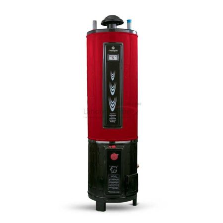 Nasgas DEG-25 Deluxe Electric Water Heater Twin
